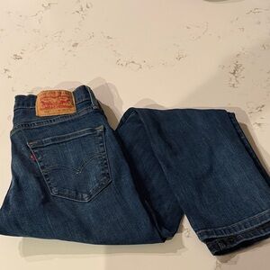 Levi's Men's Dark Blue Straight Jeans